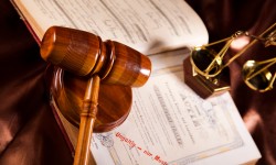 Suspendisse arcu nisl